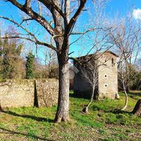 TER. AGRICOLO A PALIANO