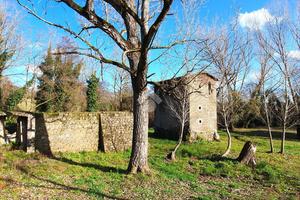 TER. AGRICOLO A PALIANO