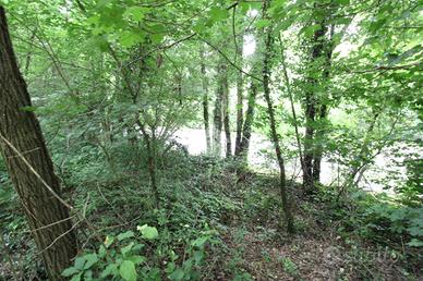 TER. AGRICOLO A OLGIATE MOLGORA