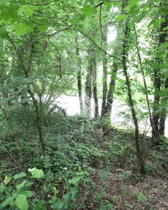 TER. AGRICOLO A OLGIATE MOLGORA