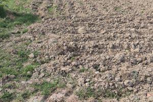 Andiamo in campagna