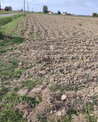 Andiamo in campagna