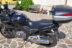 YAMAHA TDM 900  ANNO 2006 KM 21181
