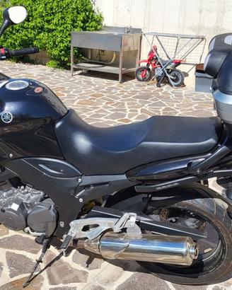 YAMAHA TDM 900  ANNO 2006 KM 21181