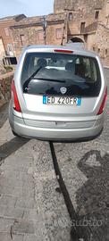 Lancia musa