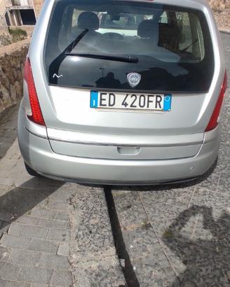 Lancia musa