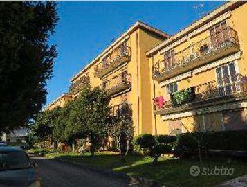 RGE 325/2023 Trib Verona - LOTTO 14