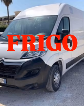 FIAT DUCATO 2.2hdi 140cv L3H2 FRIGO