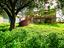 Immagine 19