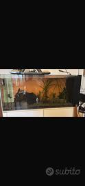 Acquario 400lt con sump