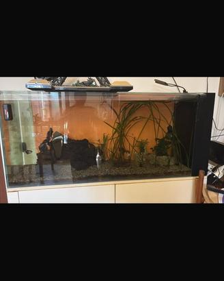 Acquario 400lt con sump