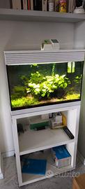 Acquario Askoll L avviato + Mobiletto e accessori
