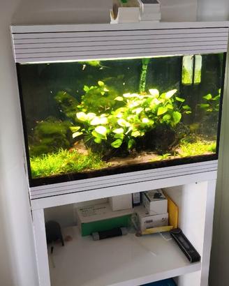 Acquario Askoll L avviato + Mobiletto e accessori