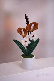 pianta di calle realizzata a mano