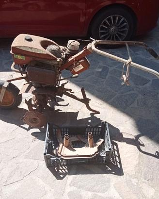 Motozappa Benassi 75 BL