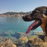 Casa vacanze 80m dal mare