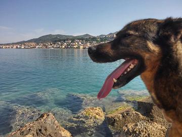 Casa vacanze 80m dal mare