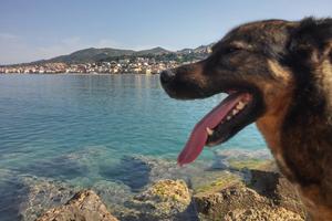 Casa vacanze 80m dal mare