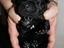 Immagine 4