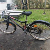 bicicletta bambina 20 pollici 
