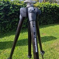 Manfrotto mt294c3 treppiede