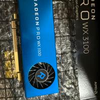 Scheda grafica AMD RADEON PRO WX 3100