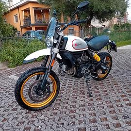 Ducati scrambler desert sled 