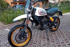 Ducati scrambler desert sled 