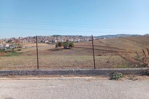 Terreno c.da petrillo