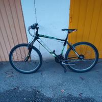 Bici Mountain Bike
