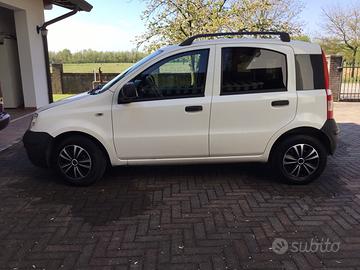 Fiat panda van benzina