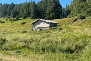 Stalla e fienile