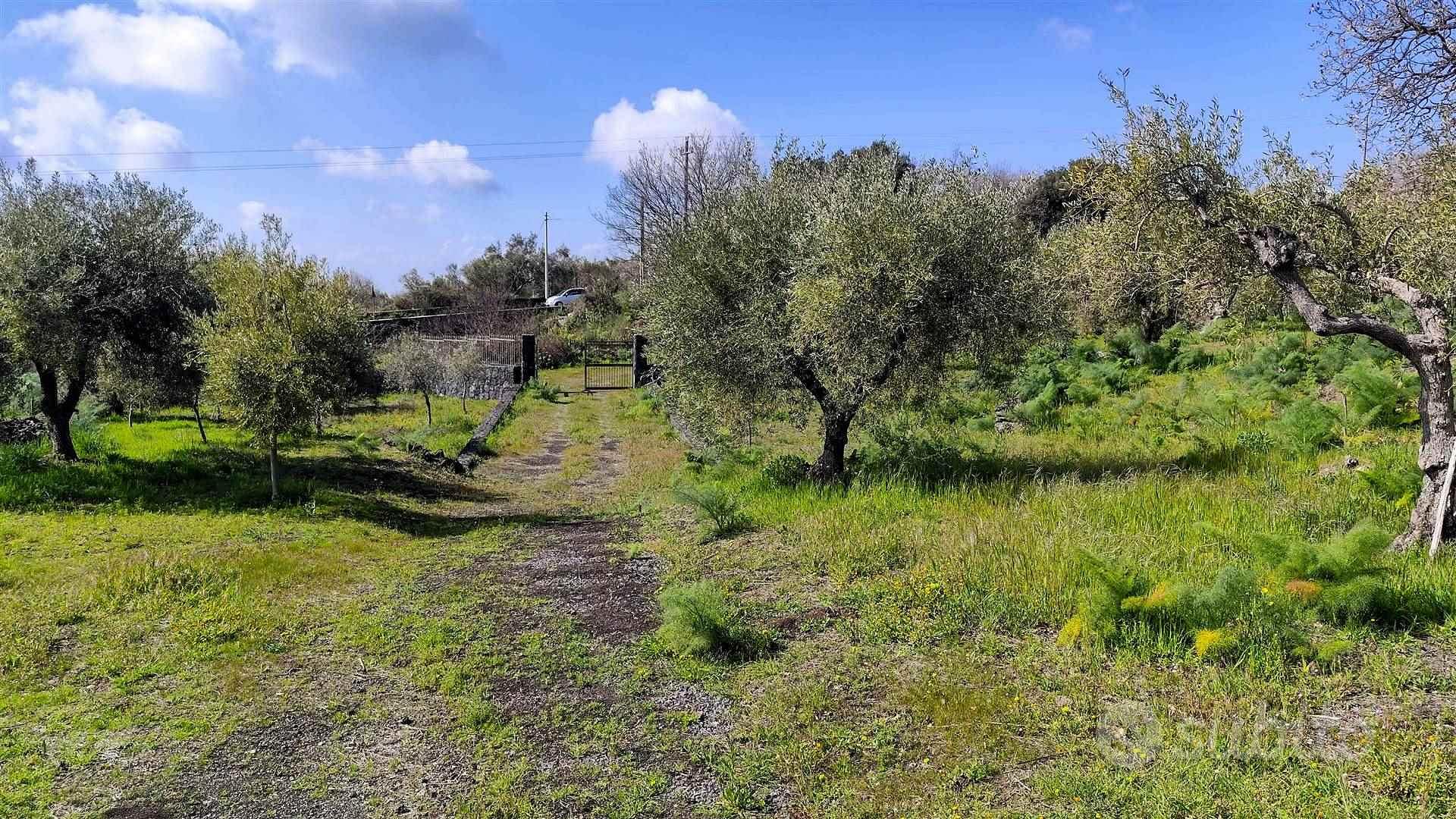 Rif.FP8| terreno agricolo belpasso - View 2