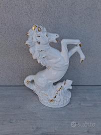 Cavallo