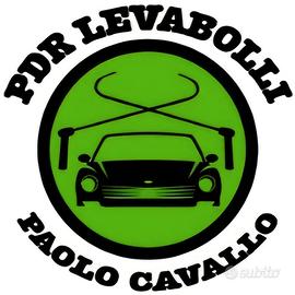 levabolli per auto