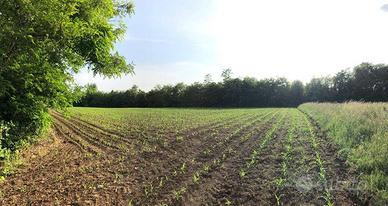 Terreno di 8880 m² a Cantù