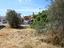 Immagine 14