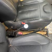 Panda preparata  per  safari