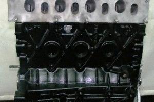 Motore suzuki gran vitara 1.9 dci f9q