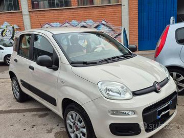 Fiat Panda Natural Power 