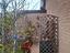 Immagine 12