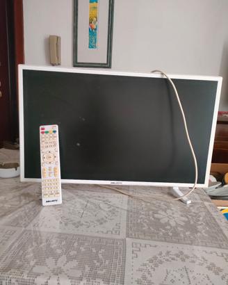 TV monitor 