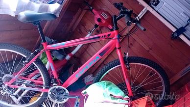 Bicicletta 