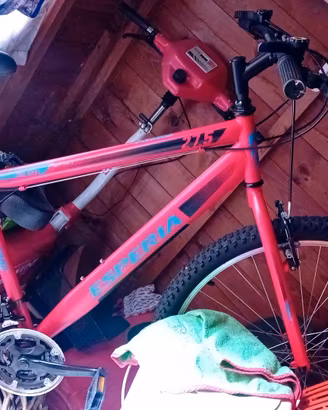 Bicicletta 