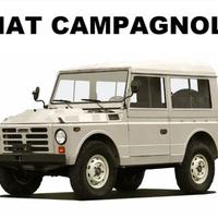 Differenziale posteriore x Fiat Campagnola Ar 76