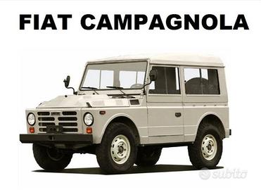 Differenziale posteriore x Fiat Campagnola Ar 76