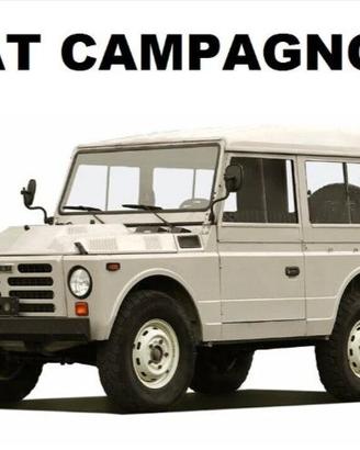 Differenziale posteriore x Fiat Campagnola Ar 76