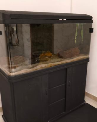 acquario 220 litri