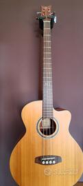basso acustico Ortega D538-4
