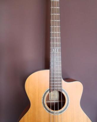 basso acustico Ortega D538-4